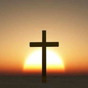 Meet your Posher, Cassandra